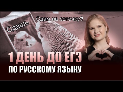 Видео: 1 день до ЕГЭ по русскому языку | ЕГЭ 2024 | 99 баллов