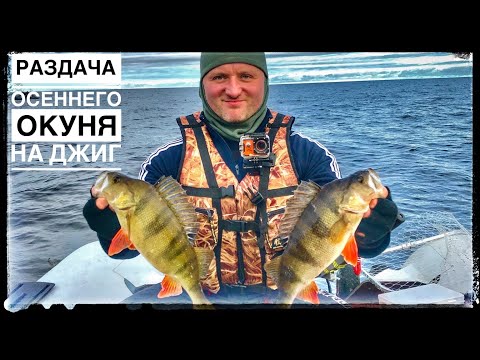 Видео: Ладога,ловля окуня на джиг