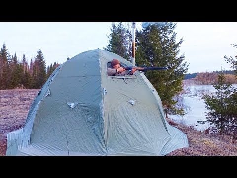 Видео: ГЛАВНОЕ ПРОЦЕСС 🤣🤣🤣 Охота из ПАЛАТКИ на УТОК / ОТКРЫТИЕ сезона на водоплавающую дичь с чучелами 2023