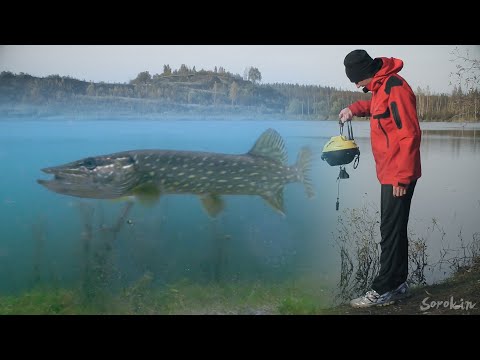 Видео: НАШЕЛ РЫБУ С ПОМОЩЬЮ ПОДВОДНОГО ДРОНА! ЩУКА НА ЖИВЦА