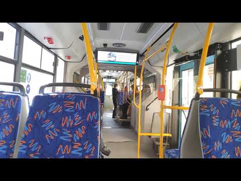 Видео: Новый автобус МАЗ-216066 Санкт-Петербург 2020