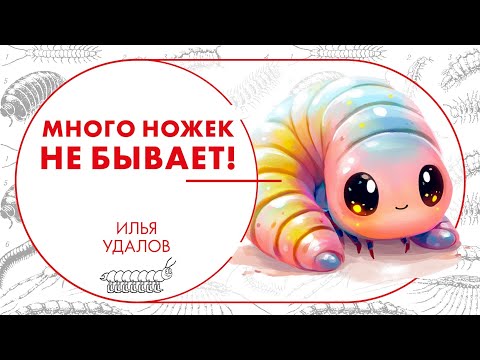 Видео: Много ножек не бывает! Илья Удалов