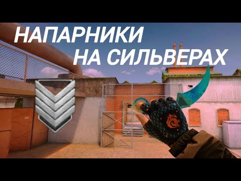 Видео: КАК ИГРАЮТ СИЛЬВЕРЫ В НАПАРНИКАХ В 2024 ГОДУ? ФУЛ ПОТ?! 😰 (STANDOFF2)