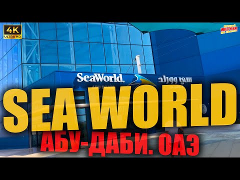 Видео: SEA WORLD 🇦🇪 Абу-Даби. ОАЭ ( 4K Ultra HD! )