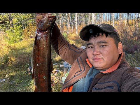 Видео: В поисках хариуса. Сентябрь лучшее время года для рыбалки