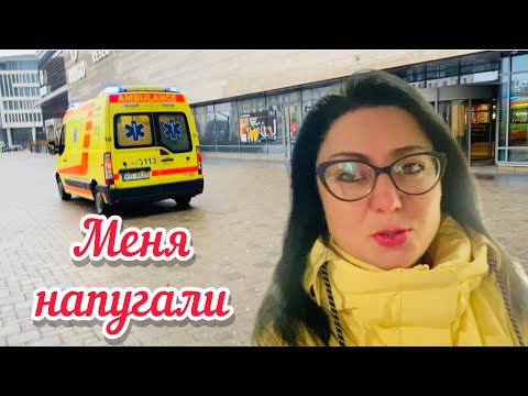 Видео: Vlog💚ПРЕДУПРЕДИЛИ | БОЛЬШЕ НЕ СНИМАТЬ | ОНИ АГРЕССИВНЫЕ | ЛАТВИЯ | РИГА |