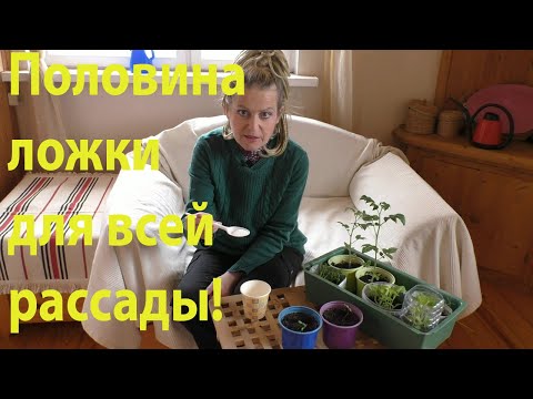 Видео: Чтобы рассада не перетягивалась!