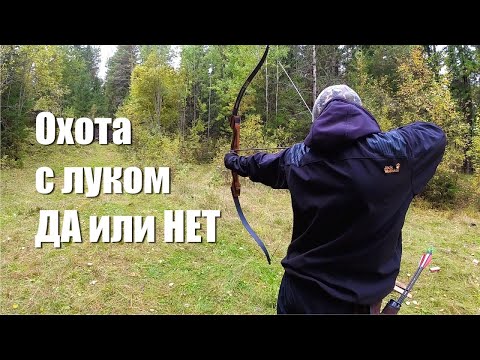 Видео: Охота с луком и почему я завязал с этим увлечением