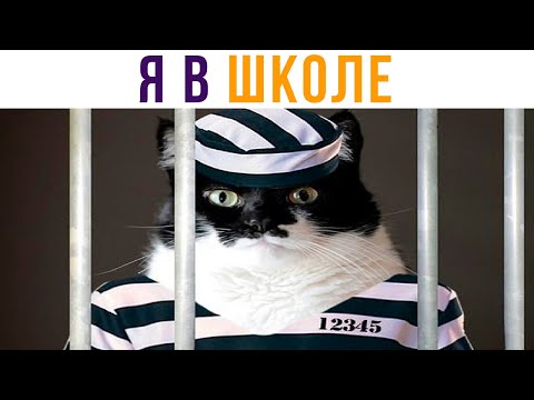 Видео: Школьные приколы. Настоящий АД!!!) Приколы | Мемозг 666