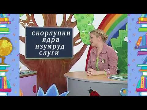 Видео: Школа Шишкиного Леса. Русский язык. Имя существительное