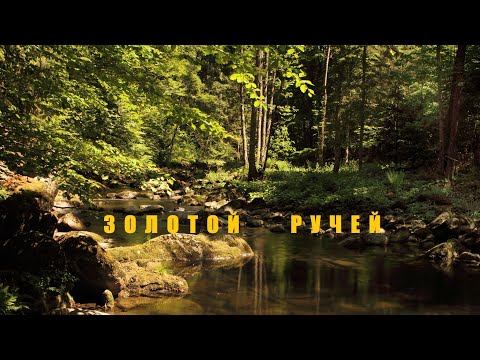 Видео: Разведка золотоносного ручья.Лоток -Шлюз.