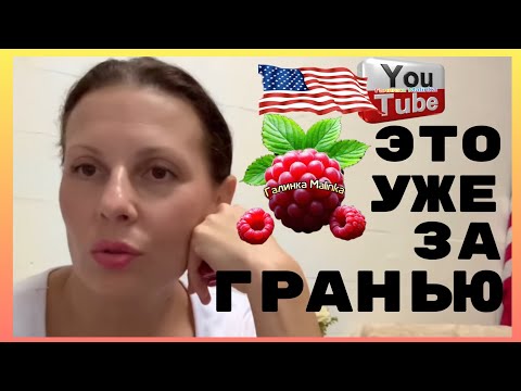 Видео: Big Big Family in the USA /Это уже за гранью /Обзор /Funny 4 /Биг Биг Фэмэли /Лиса в Америке /USA 