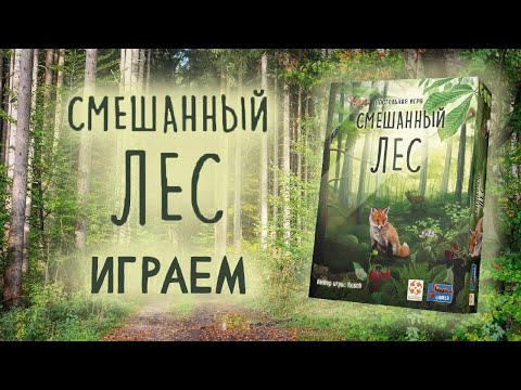 Видео: Смешанный лес - Играем в настольную игру