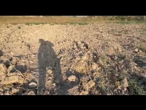 Видео: Тупроқларнинг гидроморфизмга учраши ва хоссаларининг ўзгариши