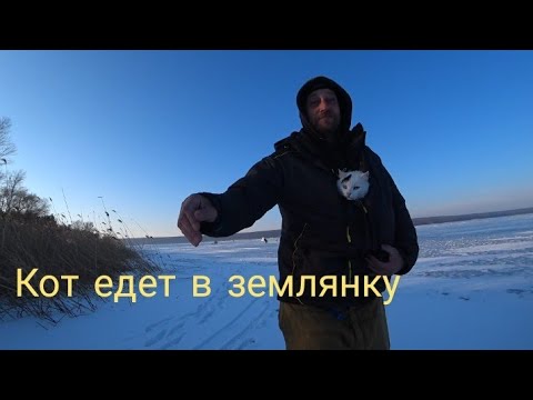 Видео: Привёл кота в землянку, но он сбежал. Снова морозы. Рыбалка.