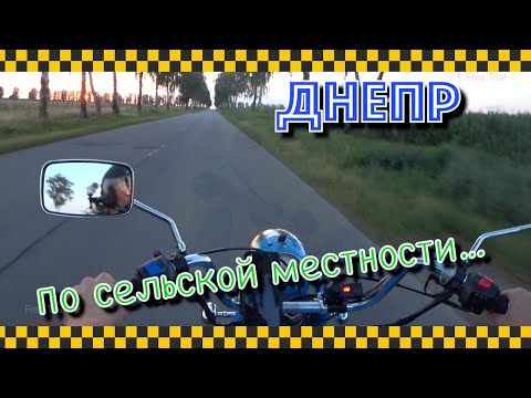Видео: Днепр в естественной среде обитания.