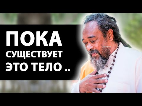 Видео: Хочешь найти Себя – потеряй «себя» [Муджи / Осознанность]