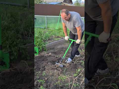 Видео: картофелекопатель "СТАЛК" на плотной почве, как работать, эффективность.