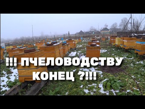 Видео: !!!! ПЧЕЛОВОДСТВУ КОНЕЦ ?!!!!