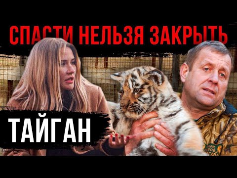 Видео: ПАРК ТАЙГАН | Спасти нельзя закрыть