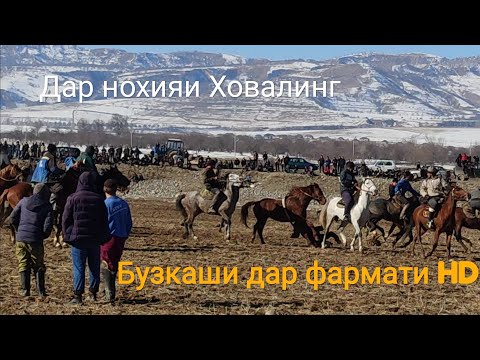 Видео: Бузкаши соли 2021
