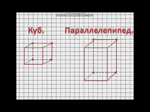 Видео: 5 класс. Построение геометрических фигур.