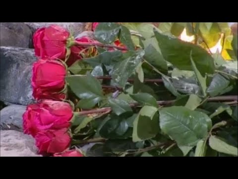 Видео: Измена Игоря Трегубенко