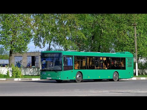 Видео: Крычаў, МАЗ 203, маршрут 7 (18.09.24)