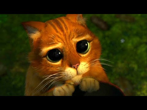 Видео: Кот шпион и пельмени