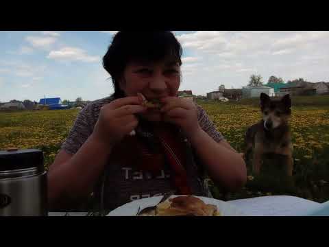Видео: Мукбанг на природе собакой 😇