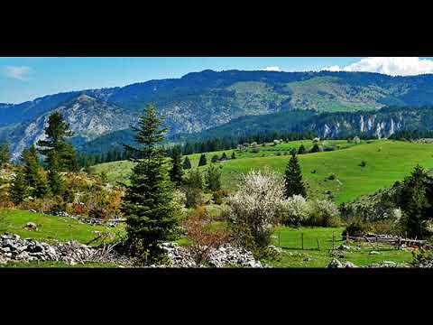 Видео: Нина Иванова - Родопска китка