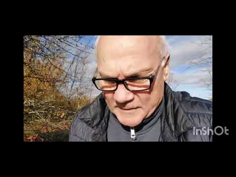 Видео: Белгородская область. Зимовка пчел началась.