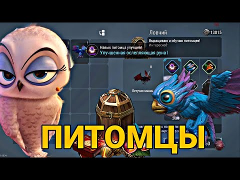 Видео: ПИТОМЦЫ И ИХ ПРОКАЧКА! ВСЯ СУТЬ НОВОЙ МЕХАНИКИ! Frostborn Action RPG