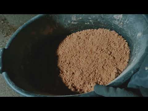 Видео: Жылқы бордақылау, 1.5 жасар тайлар