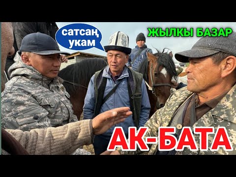 Видео: АК-Бата мал базары арзан экен. 19 Ноябрь 2024