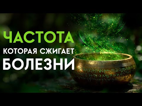 Видео: Прикажите своему телу исцелиться — все болезни исчезнут, клетки и органы будут регенерировать