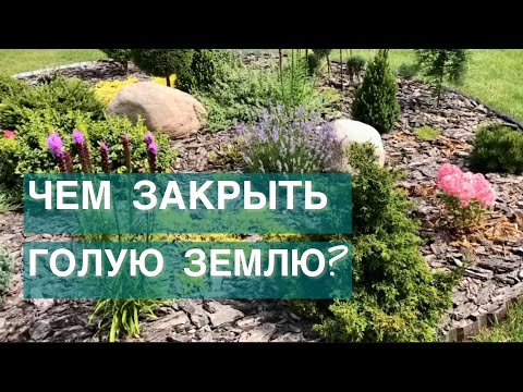 Видео: ТОП РАСТЕНИЙ. ЧЕМ ЗАКРЫТЬ ГОЛУЮ ЗЕМЛЮ В ЦВЕТНИКАХ И КЛУМБАХ?