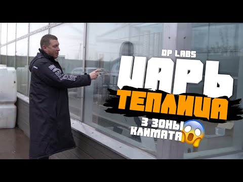 Видео: Устройство моей теплицы