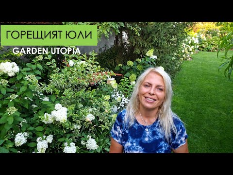 Видео: Горещо ЛЯТО в градината | Обиколка на 21.07.2025 г.