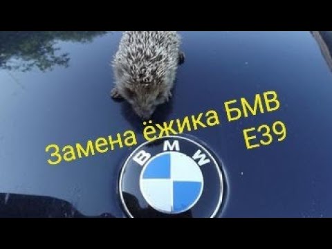 Видео: Замена Ёжика БМВ е39