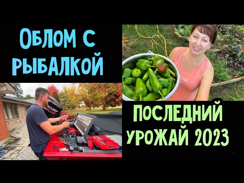 Видео: Жизнь в Канадской деревне