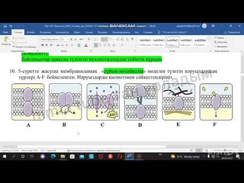 Видео: 10-сынып Биология ТЖБ 1ТОҚСАН(ЖМБ)