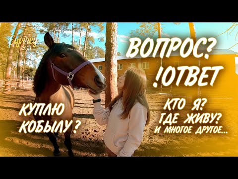 Видео: ВОПРОС - ОТВЕТ конная версия | ИНФО |GoPro