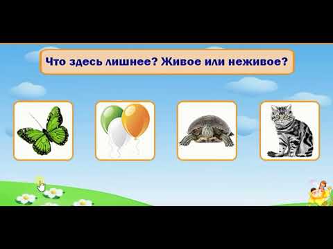 Видео: Развивающее видео, дидактическая игра "Найди лишнее"-3.Живая и неживая природа.