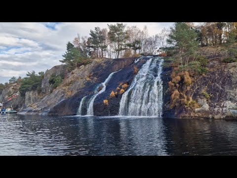 Видео: Шок💥От дикой природы Норвегии📍Наш тернистый путь в лесу📍