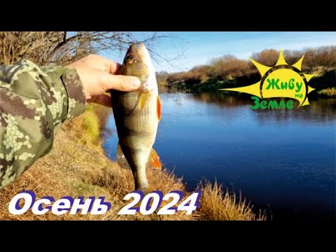 Видео: Большой Окунь. Рыбалка осенью 2024. 1 День на Реке