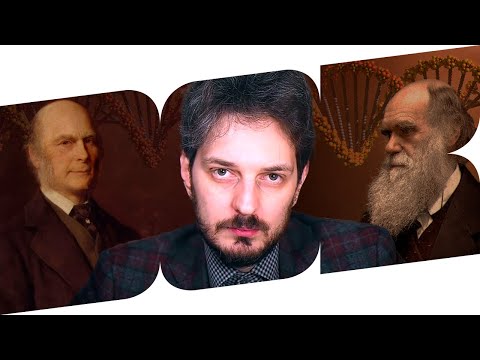 Видео: КАЦ ПРЕДЛАГАЕТ НЕ УЛУЧШАТЬСЯ