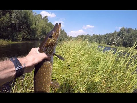 Видео: Рыболовный сплав+Ходовая рыбалка на притоке. Часть 1