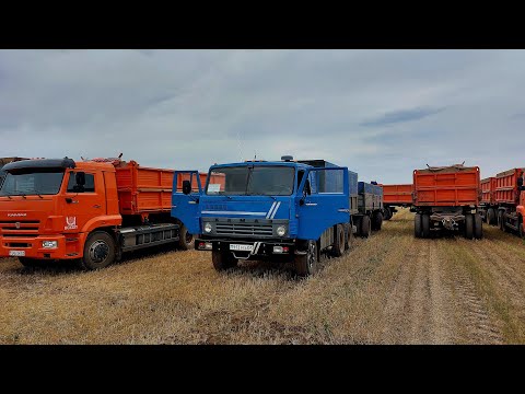 Видео: Рейсы, много рейсов))) Заезд Камаза на подъёмник. Уборка урожая 2022! (№6)