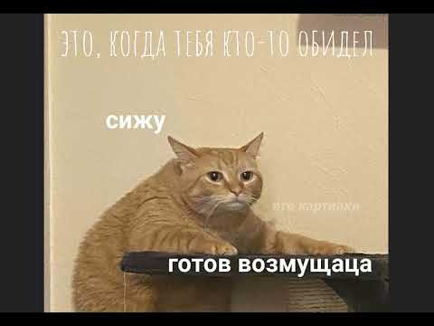 Видео: Видео для моего бро)